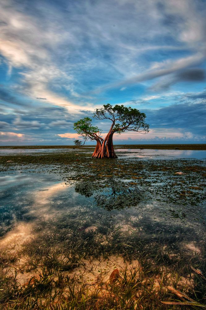 Photograph by Yafet Prayogo