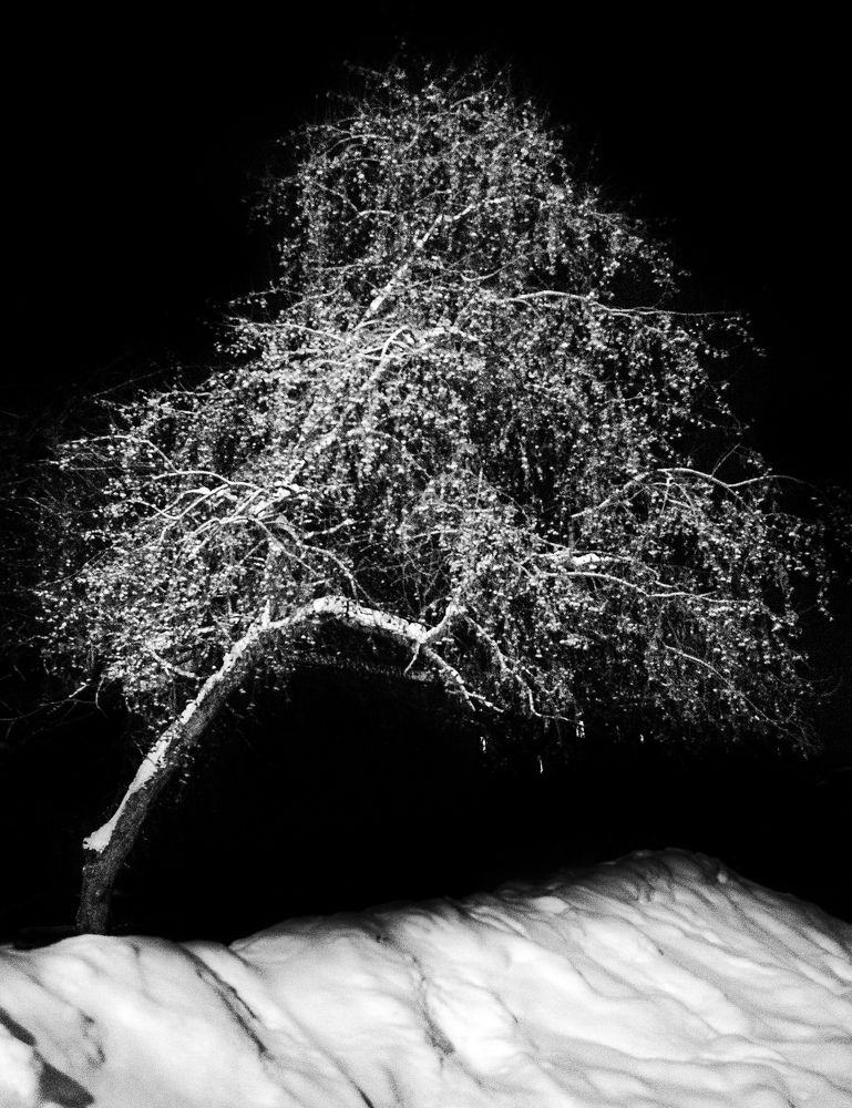 Photograph by Алексей Патрушев