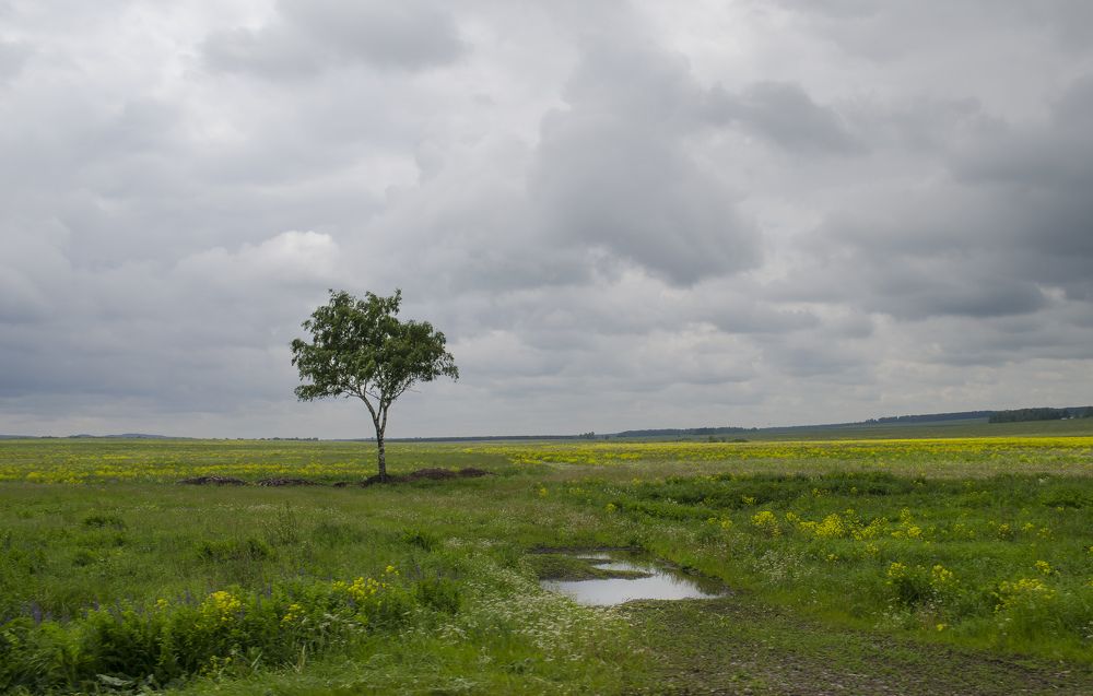 Photograph by Роман Пацкевич