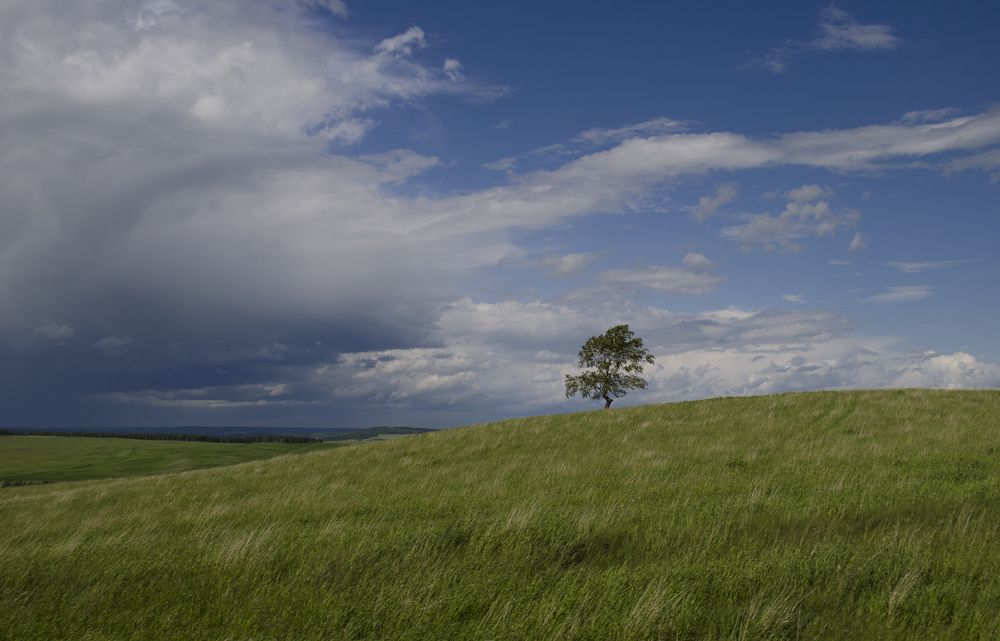 Photograph by Роман Пацкевич