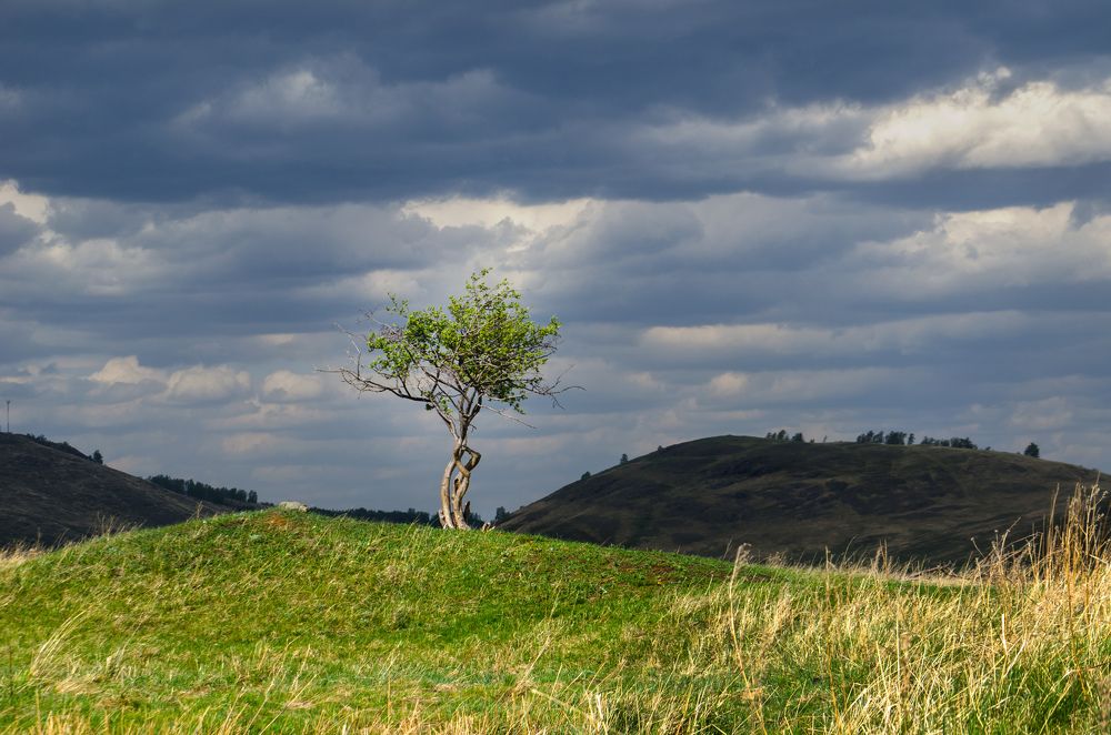 Photograph by Роман Пацкевич