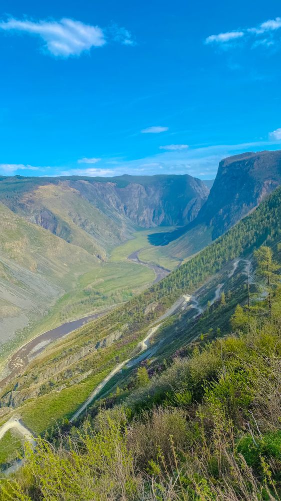 Фотография автора Selena