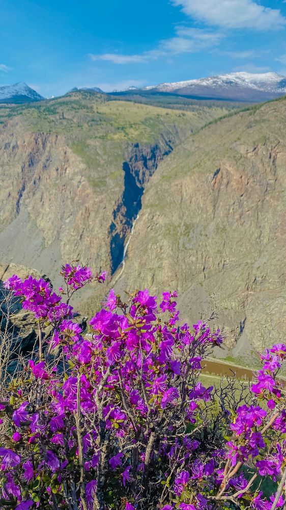 Фотография автора Selena