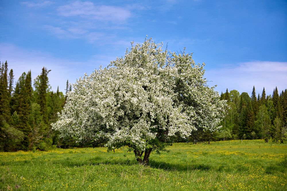 Photograph by Alexandr Borisov