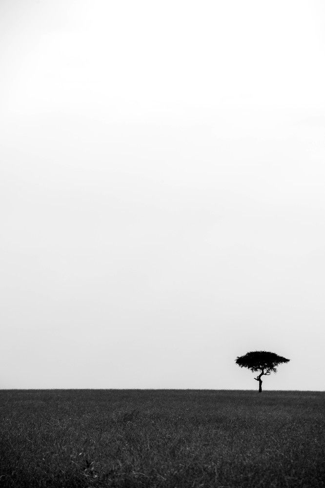 Фотография автора Zubair Irshad