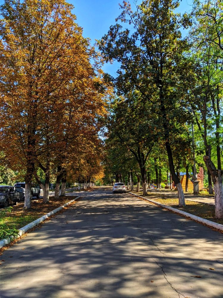 Photograph by Анна Напримерова