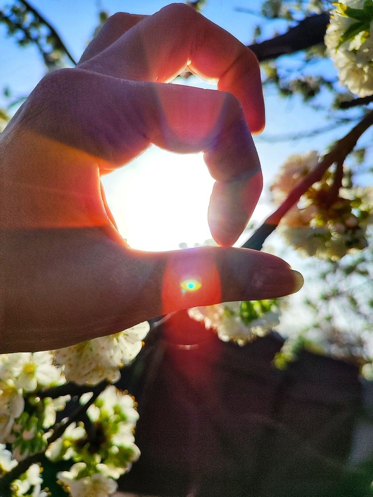 Photograph by Анна Напримерова