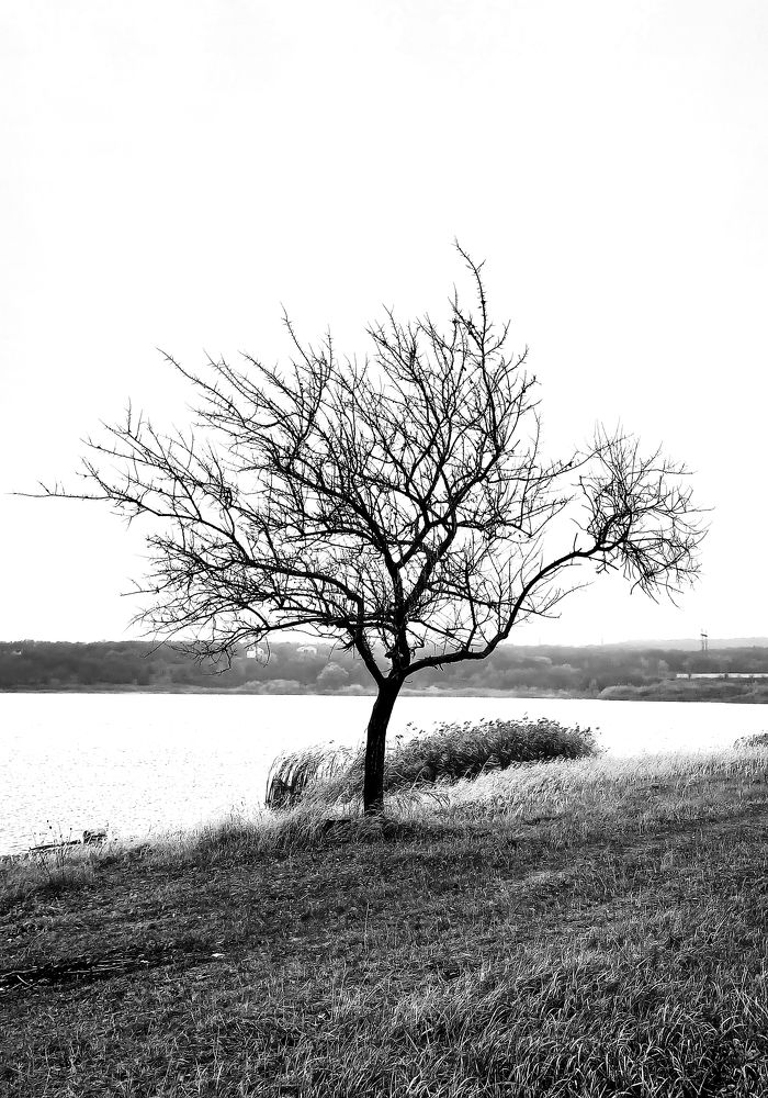 Photograph by Михаил Малец