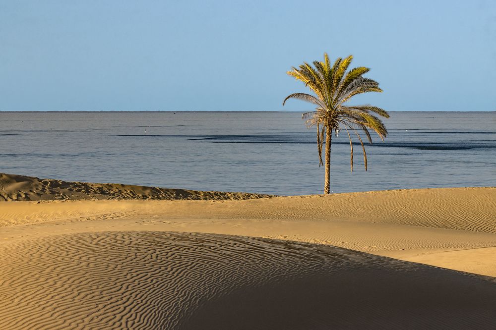 Photograph by Rasoul