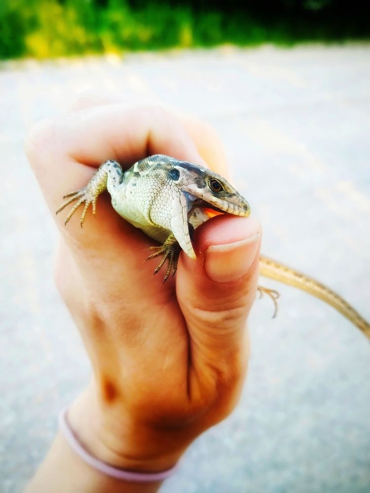 Photograph by Любовь Коровацкая