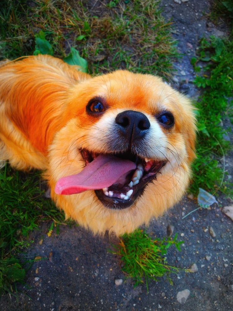 Photograph by Любовь Коровацкая