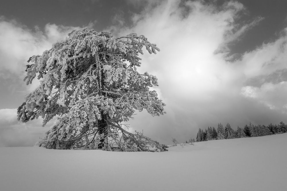 Photograph by Vania Tonova