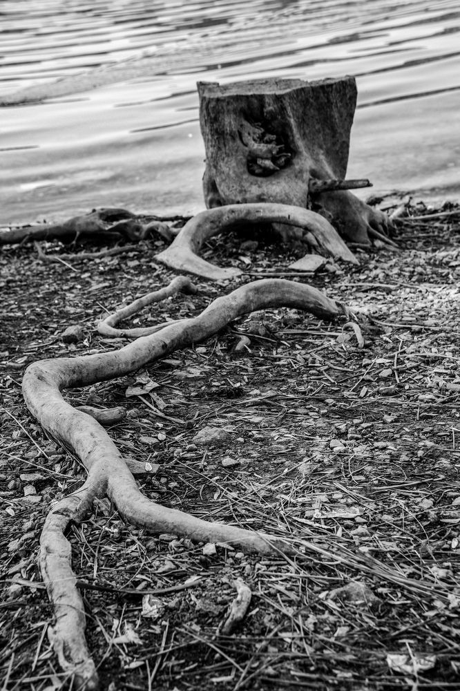 Photograph by Muhammed Diler