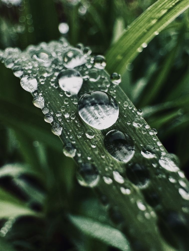 Photograph by Диана Бадеева