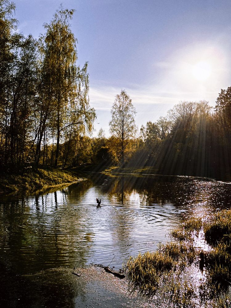 Photograph by Диана Бадеева