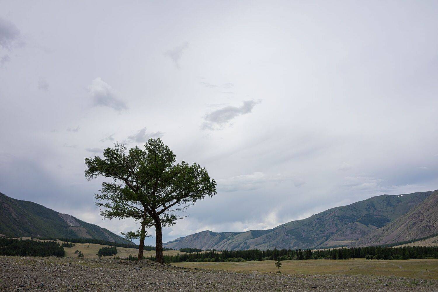 Photo #10645326