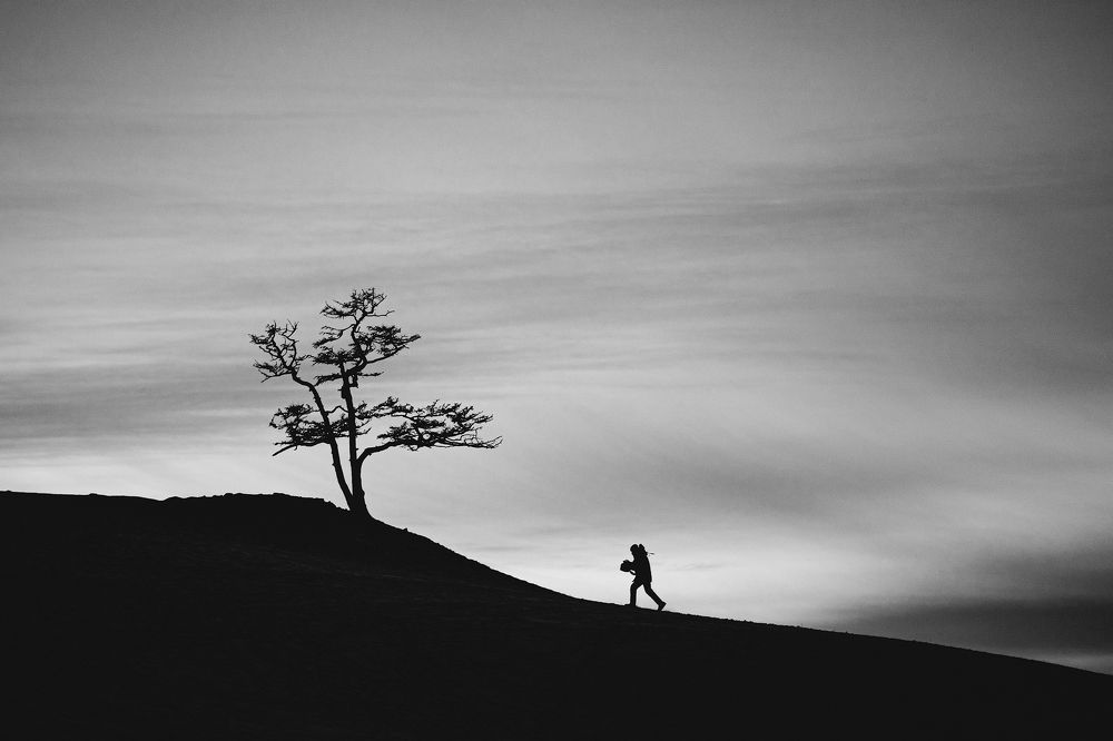 Photograph by Кочкин Владимир