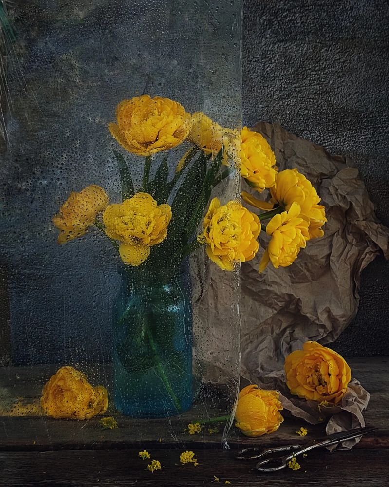 Фотография автора Инга Шевелёва