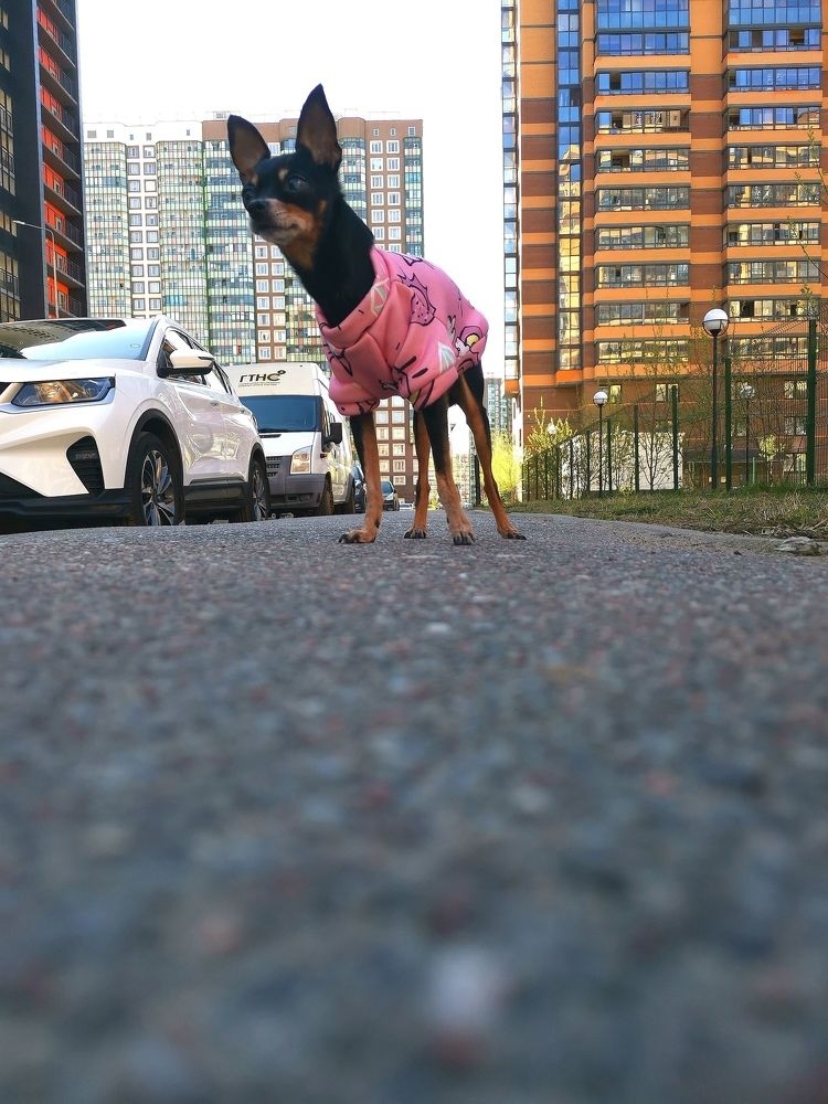 Photograph by Алексей Петров