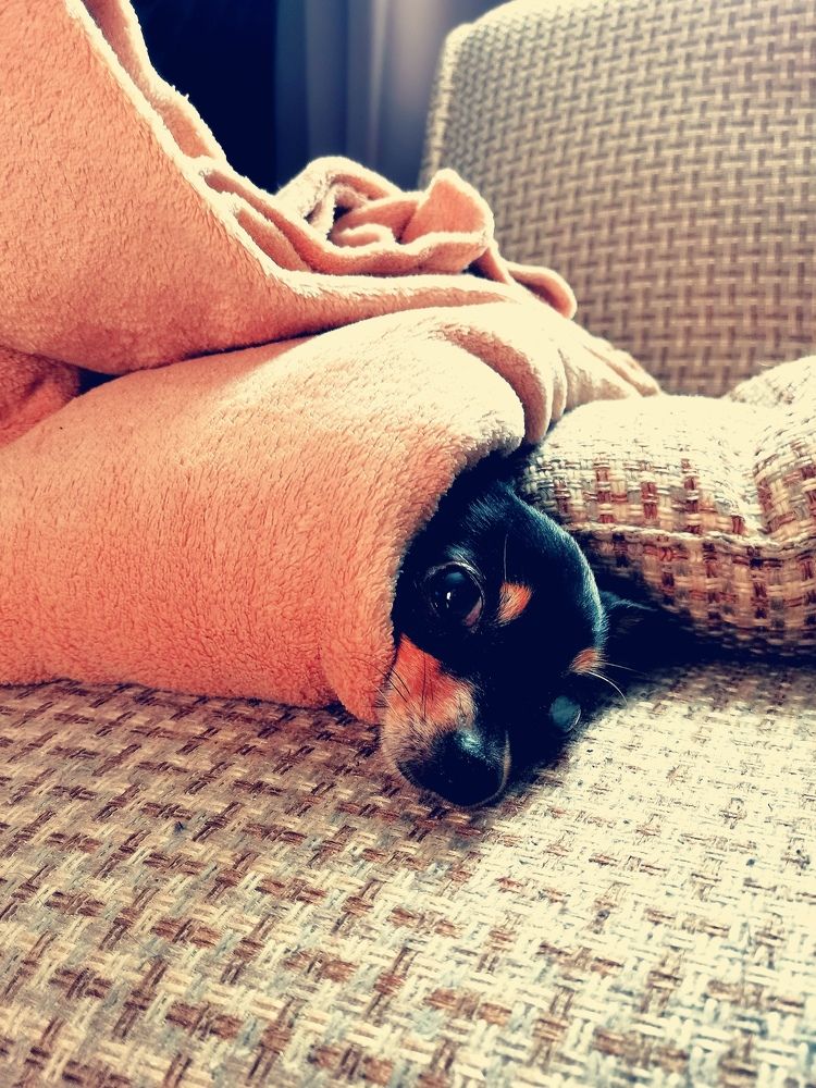 Photograph by Алексей Петров