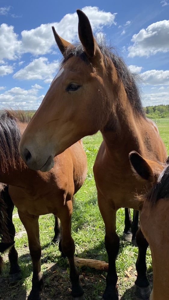 Photograph by Татьяна Русак (сыч)