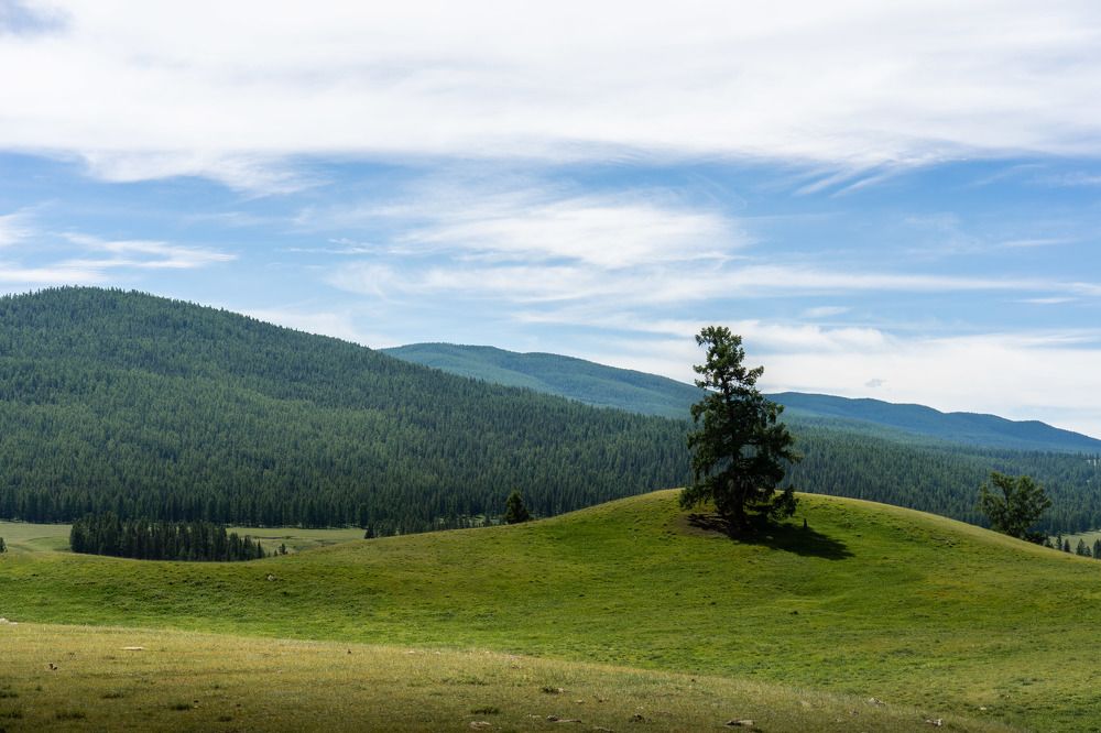 Photograph by Константин Щербаков