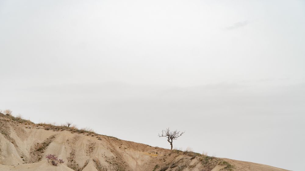 Photograph by Екатерина Акимова