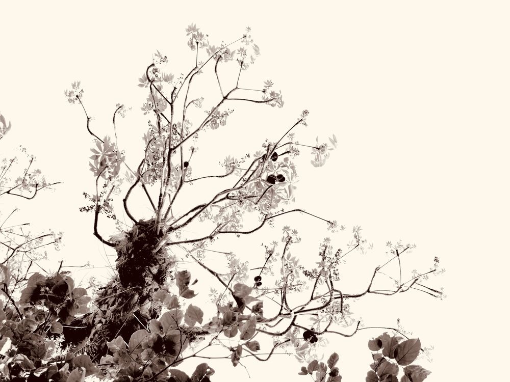 Photograph by Сергей Криволапов