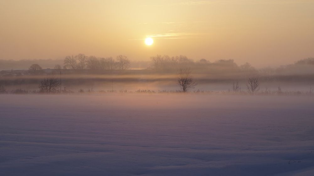 Photograph by Сушкевич Светлана