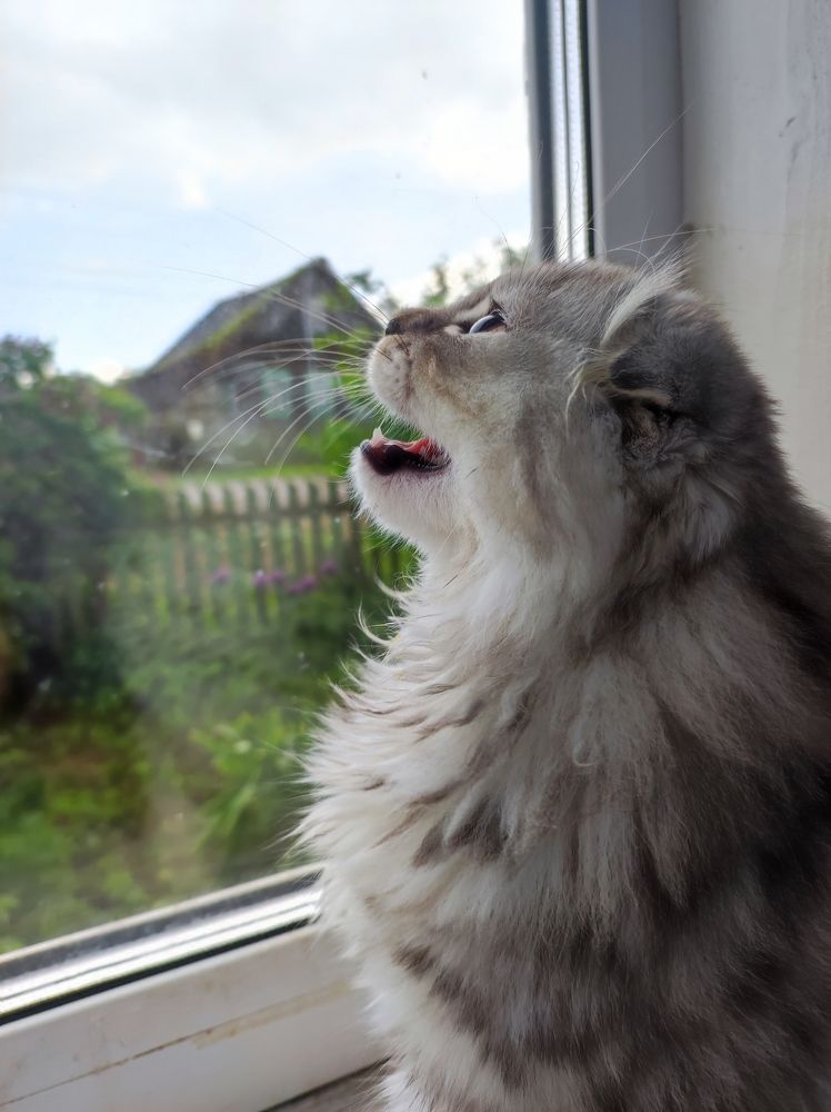 Фотография автора Irina Linina