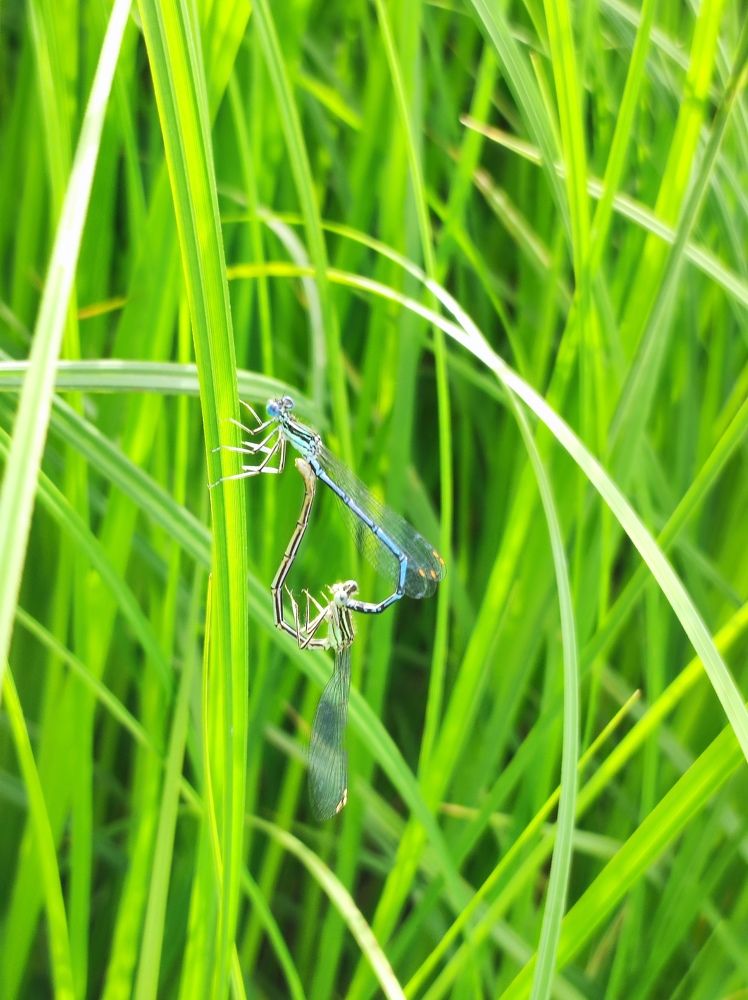 Фотография автора Irina Linina