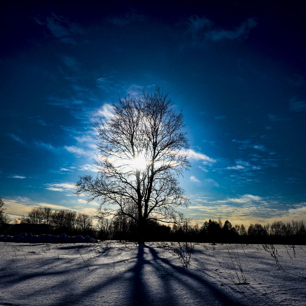 Photograph by Дмитрий Потапов