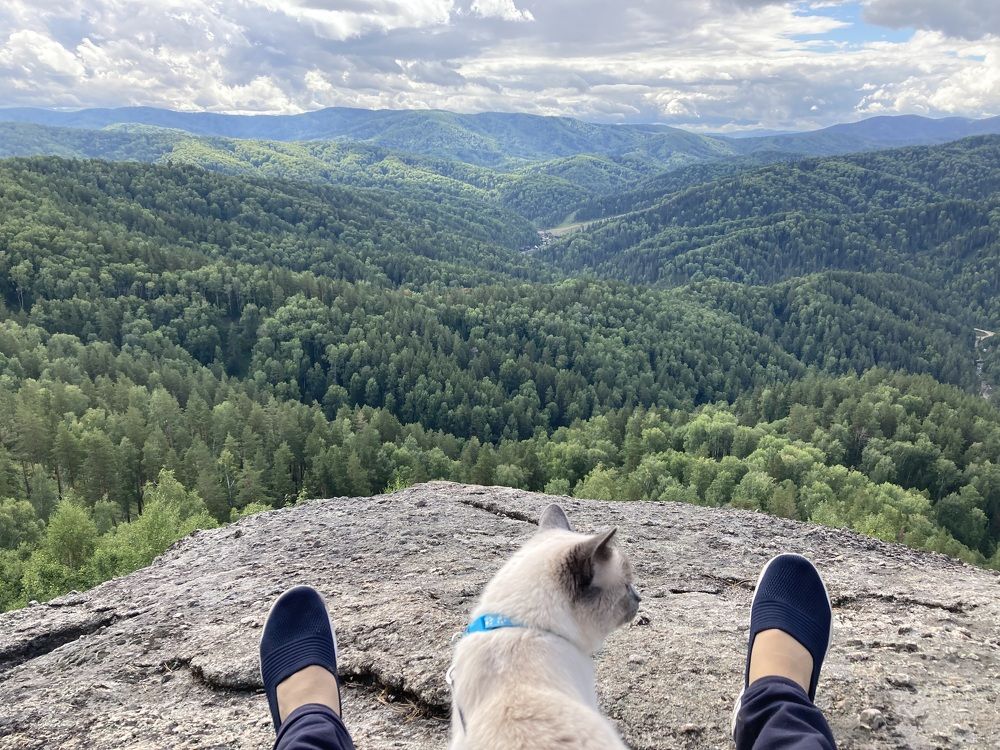 Фотография автора Наталья Пасечко