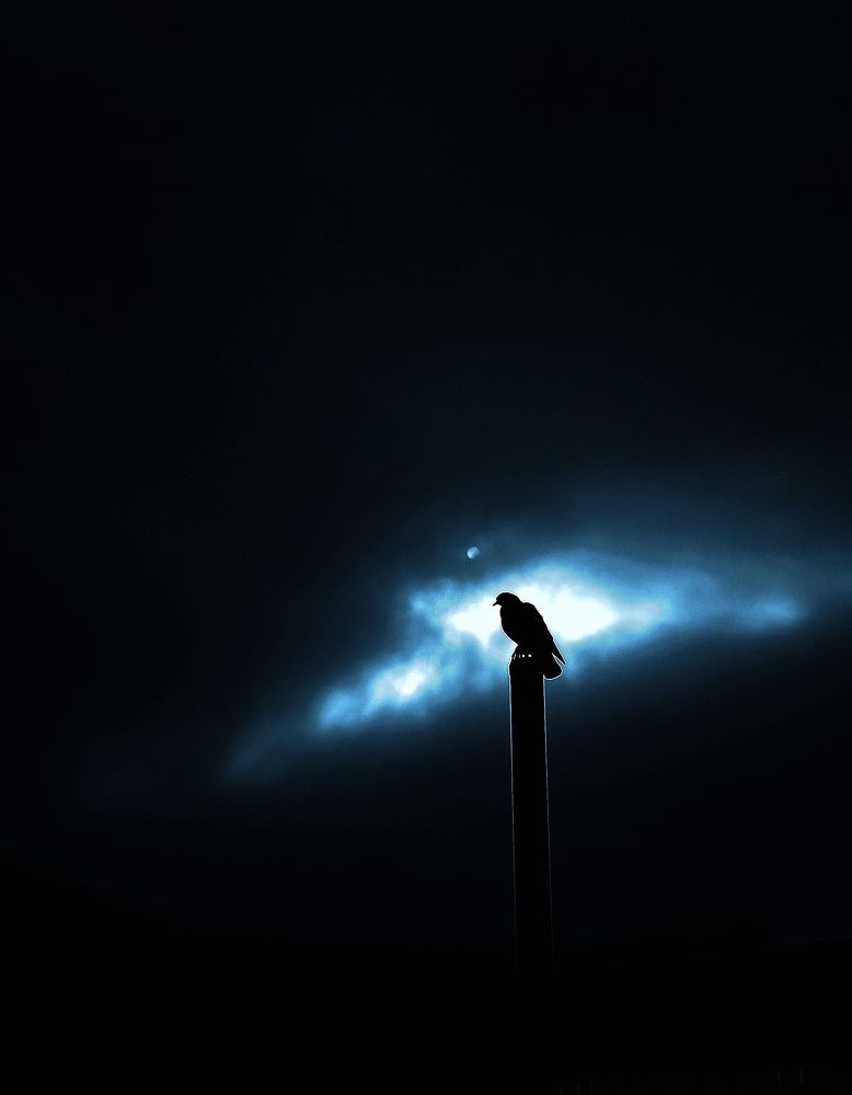 Photograph by Avijeet Sapui