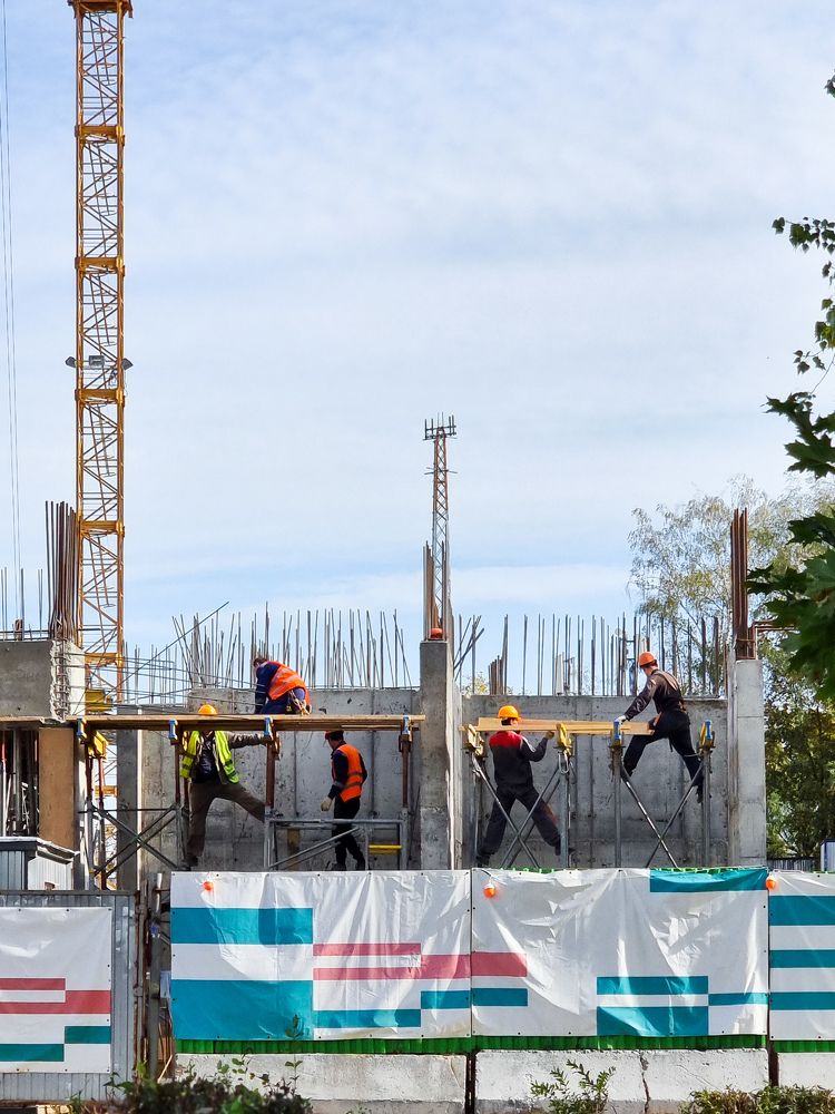 Фотография автора Светлана Алексеева