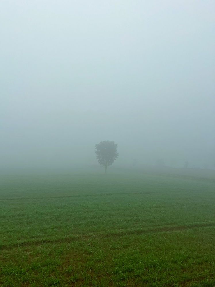 Photograph by Avijeet Sapui