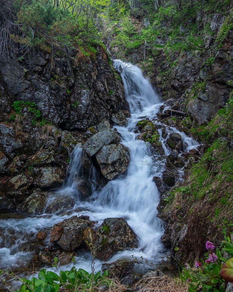 Фотография автора Андрей Ильков