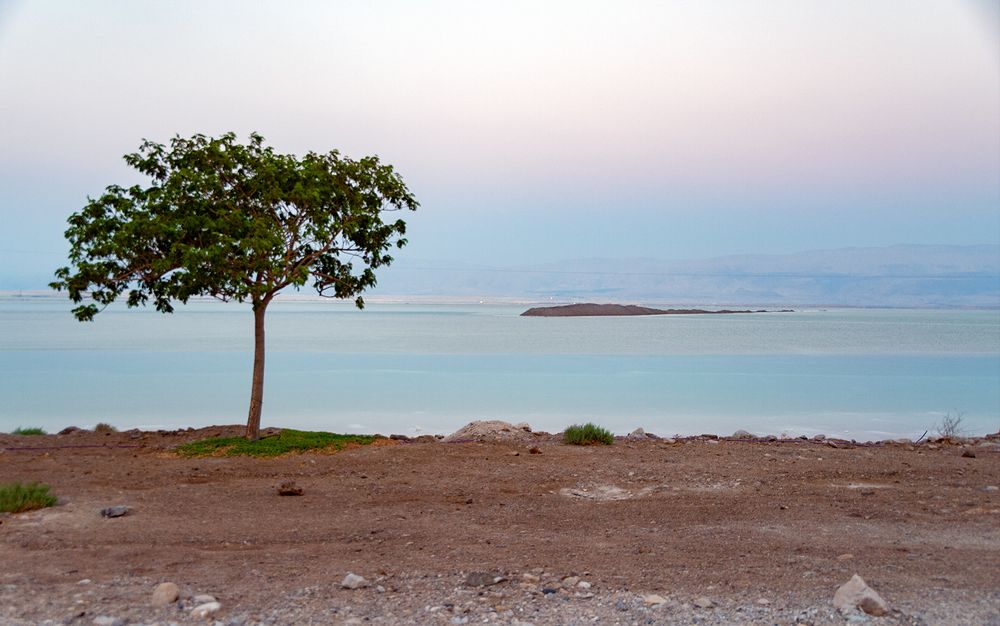 Photograph by Алексей Окунеев