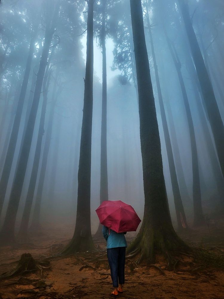 Photograph by ANIRBAN MANNA