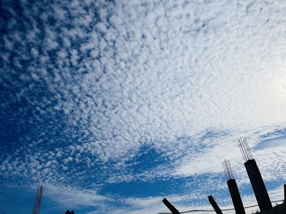 Photograph by Lu Lu