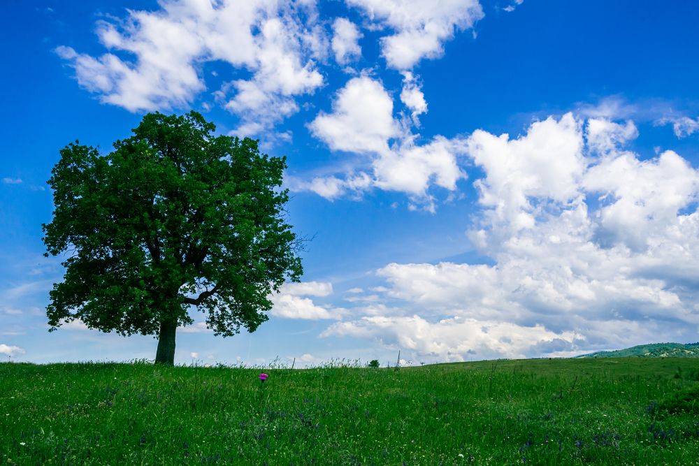 Photograph by Колев Христо