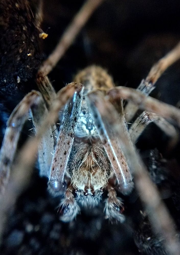 Photograph by AlexaL