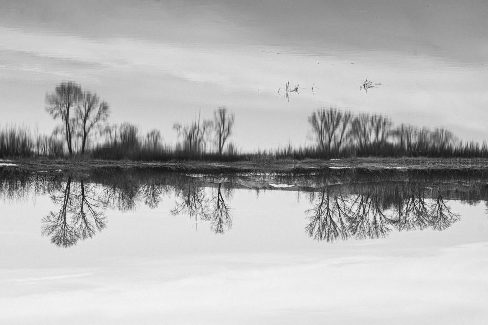 Photograph by Елена Леонидовна