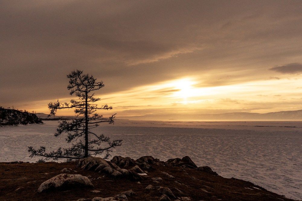 Photograph by Марина Суздаль