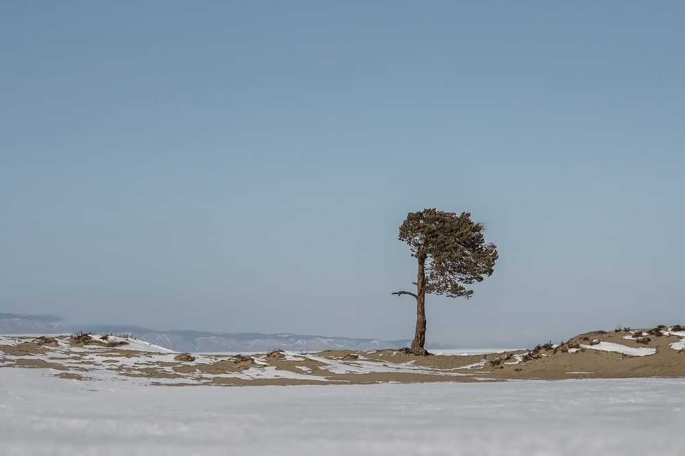 Photograph by Марина Суздаль