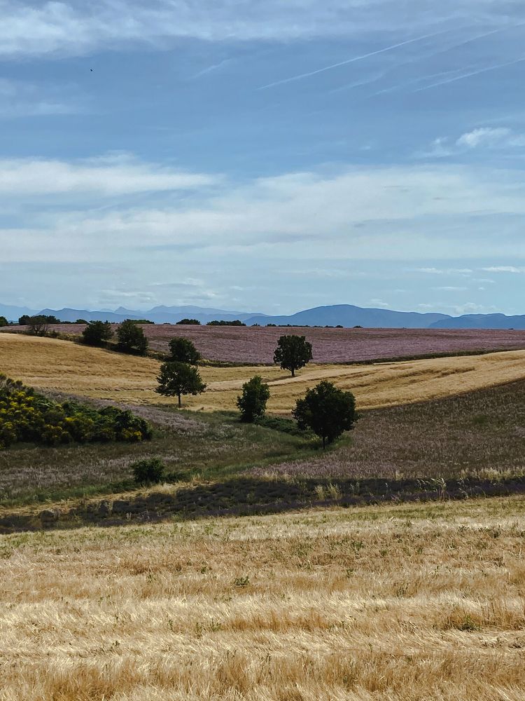 Photograph by Marina Odintsova