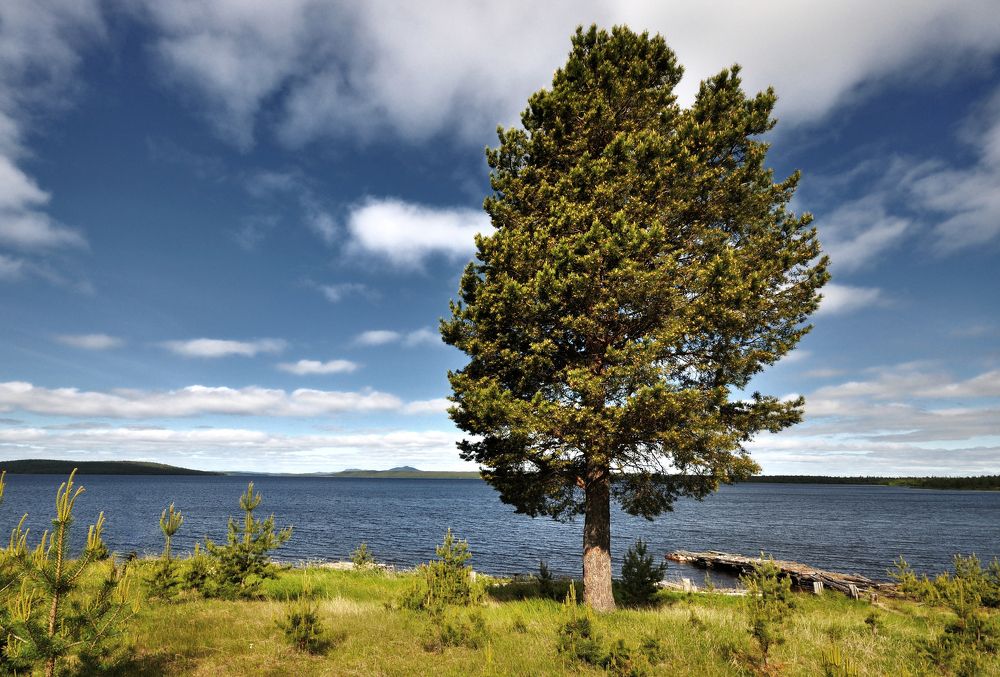 Photograph by Андрей Куликов