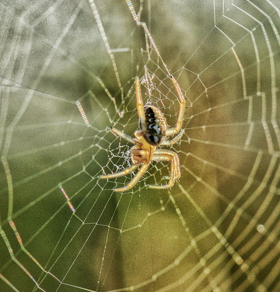 Photograph by Василиса Прекрасная