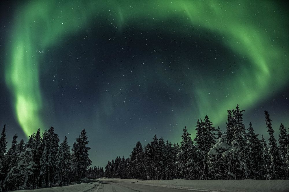 Звёздный невод