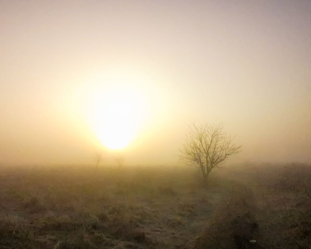 Фотография автора Дмитрий